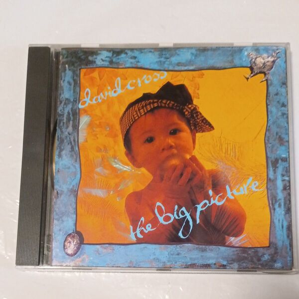 送料込!デヴィッド・クロス(キング・クリムゾン)The Big Picture(King Crimson)