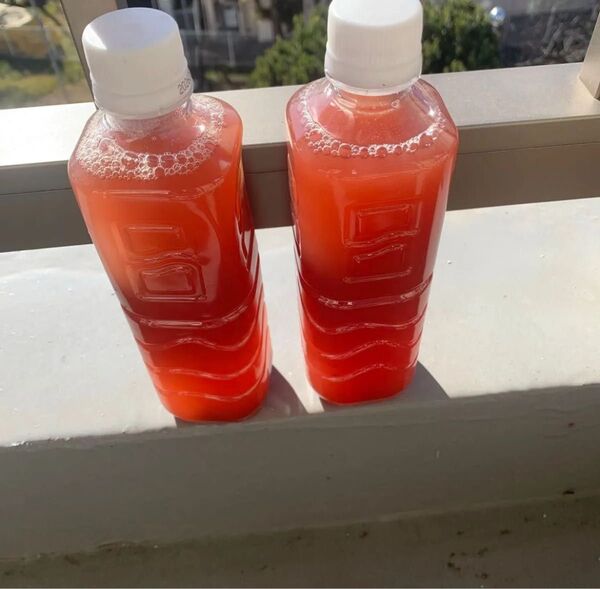 光合成細菌 PSB 1.5リットル(500ml×3)自家培養