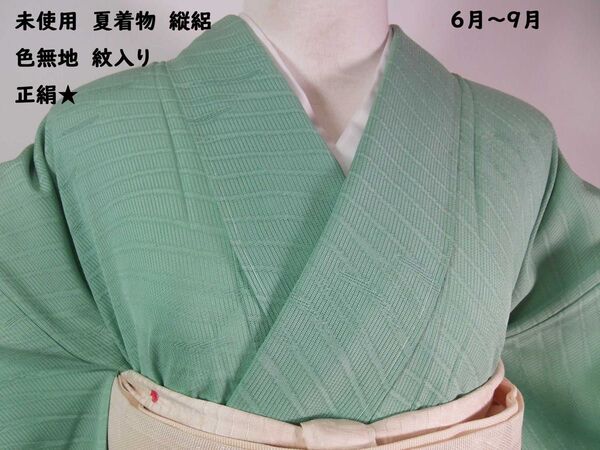 未使用 夏着物 色無地 縦絽 紋意匠 三つ割り菊紋 正絹 美品 白緑色 6月〜9月