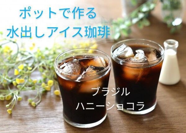 水出しアイス珈琲 500ml用2バッグ入り コールドブリュー