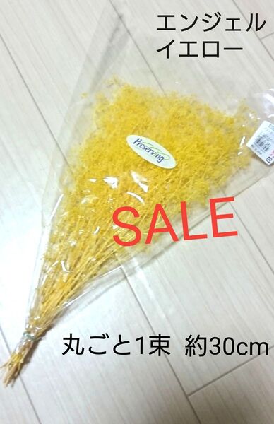 大地農園 SALE! プリザーブドフラワー かすみ草 エンジェルイエロー 1束!