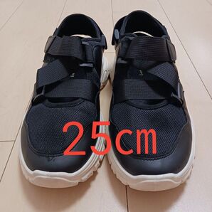 スニーカー 黒 ブラック ドットエスティ 25㎝