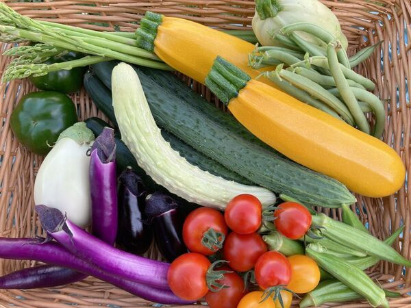北海道産野菜セット詰め合わせ