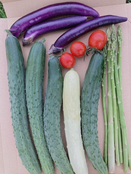 北海道産野菜セット詰め合わせ