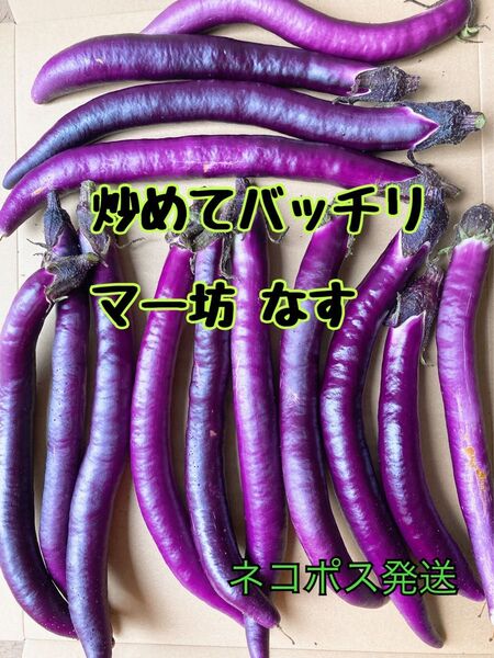 北海道産 炒めてばっちりマー坊なす