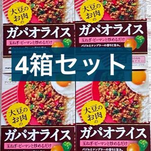 ダイズのお肉のガパオライス 4箱