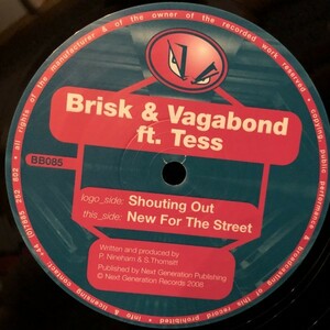 Brisk & Vagabond* ft. Tess* / Shouting Out / New For The Street