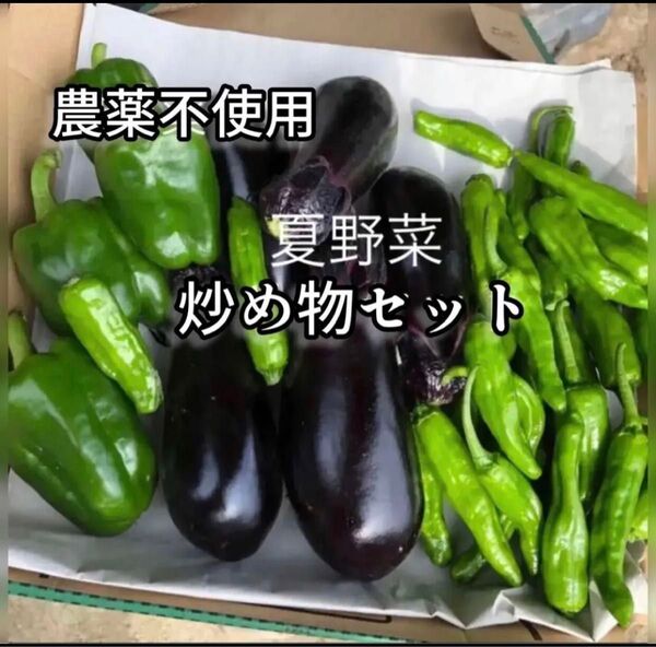 農薬不使用 農家直送 夏野菜 ピーマン&なす&ししとう