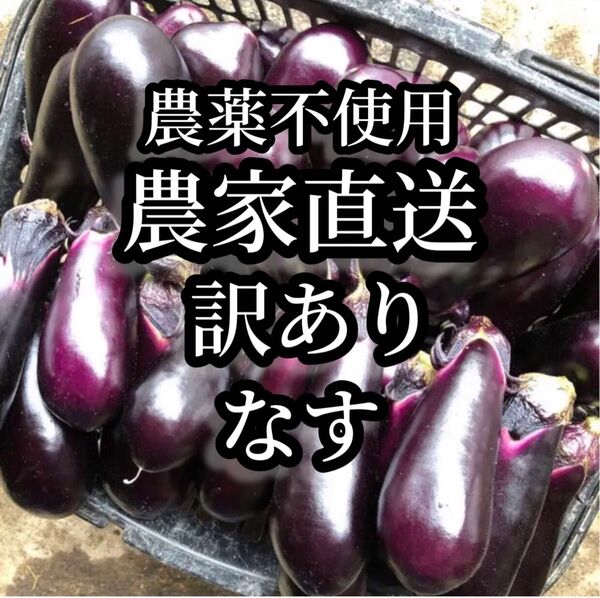 農薬不使用 農家直送 夏野菜 なす