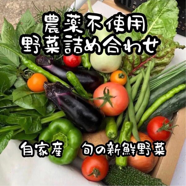 農薬不使用 農家直送 旬の野菜詰め合わせ