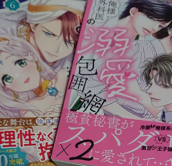 詰んでる元悪役令嬢はドS王子様から逃げ出したい 6/俺様外科医の溺愛包囲網 1