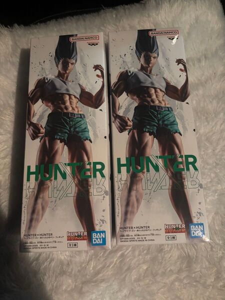 HUNTER×HUNTER フィグライフ ゴン×2フィギュア