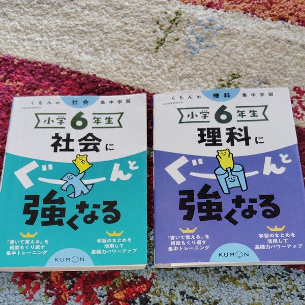 くもん 小学6年生 社会 理科 ドリル 2冊セット