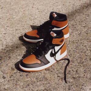 Nike Air Jordan 1 Shattered Backboard 27cm
