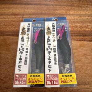 バンガードジャパン デスフォール出雲 オイルブラック 2.5号