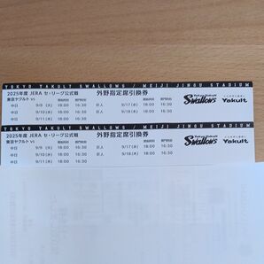 ヤクルトスワローズ 外野指定席引換券 2枚セット