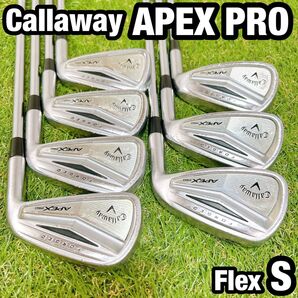 APEX PRO エイペックス プロ キャロウェイ アイアン ゴルフ S メンズ