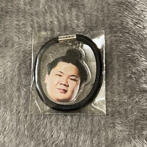 大相撲 ガチャ 宇良 ヘアゴム