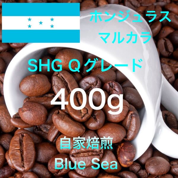 【自家焙煎コーヒー豆】ホンジュラス産 SHG Qグレード 400g(200g×2袋) 注文後焙煎
