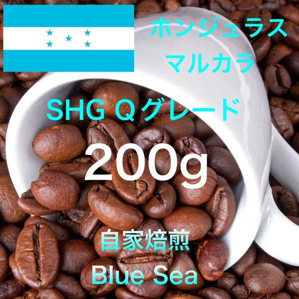 【自家焙煎コーヒー豆】ホンジュラス産 SHG Qグレード 200g(100g×2袋) 注文後焙煎