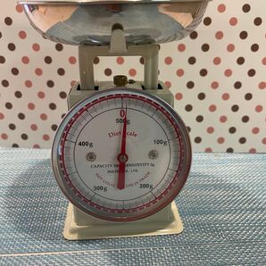 DULTON ダルトン はかり 可愛いキッチンスケール 500g計量器
