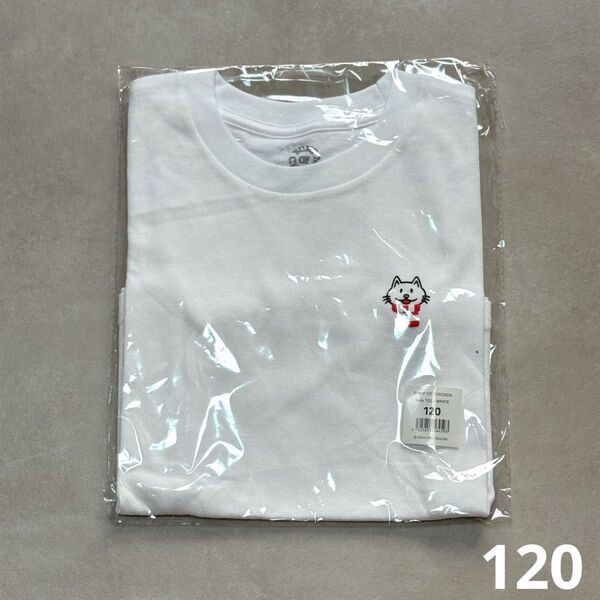 【新品・未開封】ニコル キッズT BUMP OF CHIKEN ホワイト 白 120 半袖 刺繍 Tシャツ 子供 マーク