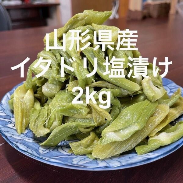 山形県産 イタドリ塩漬け 2kg(1kg×2袋) 山菜 野菜 塩蔵