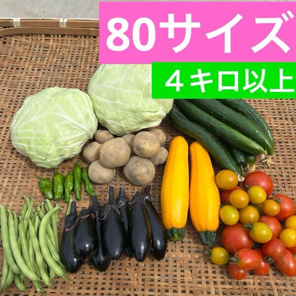 農薬不使用 野菜詰め合わせセット 箱込み4キロ以上