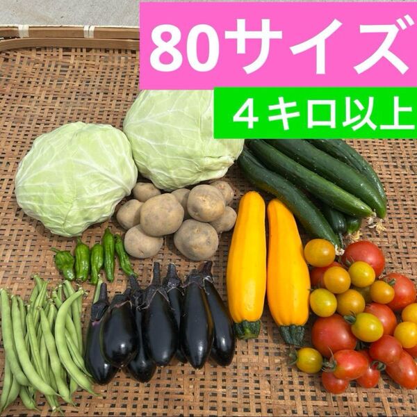 農薬不使用 野菜詰め合わせセット 80サイズ
