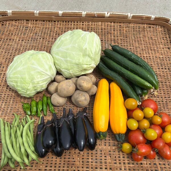 野菜詰め合わせセット 70サイズ