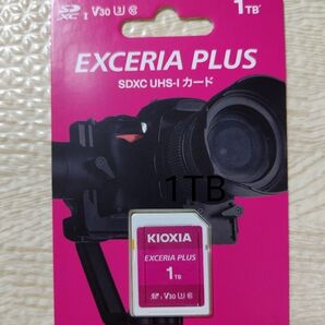 EXCERIA PLUS KSDH-A001T (1TB)