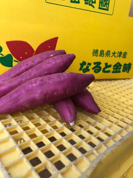 徳島県産鳴門金時【勝利のおいも】3キロ
