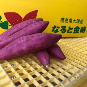 徳島県産鳴門金時【勝利のおいも】2sサイズ3キロ