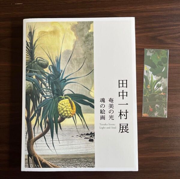 田中一村展 奄美の光 公式図録 しおり付き