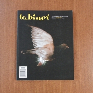 Cabinet magazine 21■美術手帖 芸術新潮 装苑 花椿 アート ブルータス アイデア デザイン juxtapoz Parkett IMA aperture magazine