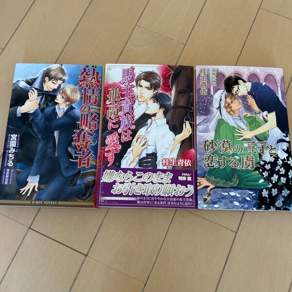 BL小説 砂漠の王子と恋する虜 3冊セット