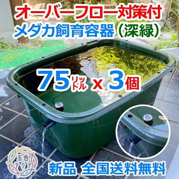【新仕様】メダカ飼育ケース 75㍑深緑x3個 オーバーフロー加工済 メダカ飼育容器 金魚飼育容器 ビオトープ 睡蓮 五色アクア