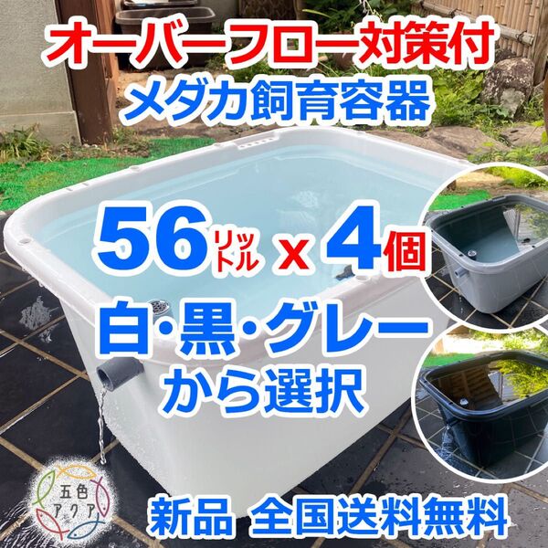 【新仕様】メダカ飼育容器 56㍑x4個 白黒灰選択可 オーバーフロー加工済 メダカ飼育ケース 金魚水槽 ビオトープ 【五色アクア】