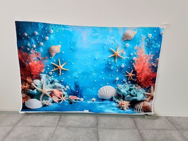 背景布 海 貝殻ヒトデ タペストリー 撮影用