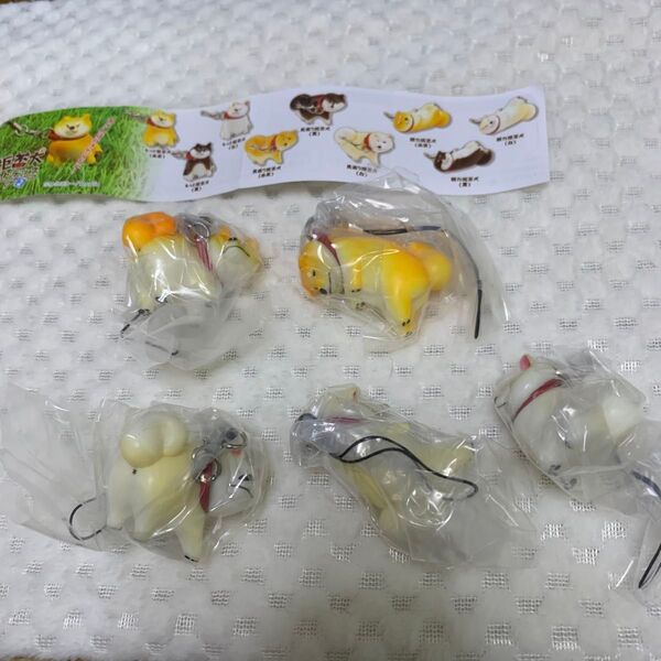 柴犬フィギュア マスコットキーホルダー 5個セット