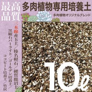 【三本線赤玉土】多肉植物培養土 10㍑ セダム/エケベリア/ハオルチア/アロエ等
