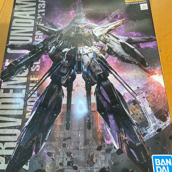 MG 機動戦士ガンダムSEED プロヴィデンスガンダム 1/100スケール 色分け済みプラモデル