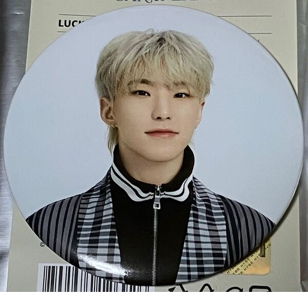 SEVENTEEN in CARAT LAND 2024 LUCKY DRAW 缶バッジ HOSHI ホシ ケレン セブチ SVT