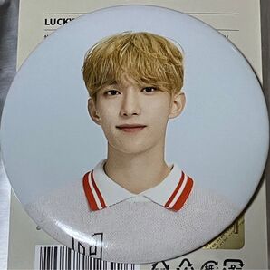 SEVENTEEN in CARAT LAND 2024 LUCKY DRAW 缶バッジ DK ドギョム ケレン セブチ SVT