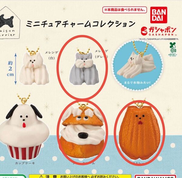 メゾンテリア Maisonterrier ミニチュアチャームコレクション ガチャ 3種セット