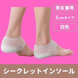 シークレットインソール 白 5cm 男女兼用 シリコン 中敷 身長アップ 通気性 かかと 脚長 ホワイト