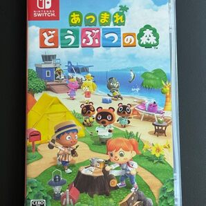 Nintendo Switch あつまれどうぶつの森
