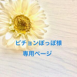 ピチョンぽっぽ様専用ページ