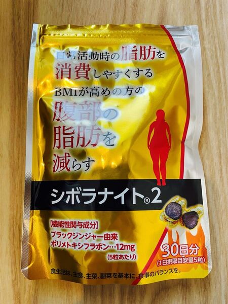 シボラナイト2 ブラックジンジャー サプリメント 30日分
