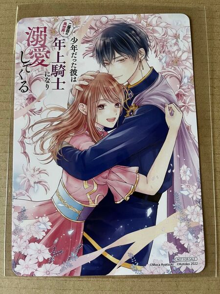 二度目の異世界、少年だった彼は年上騎士になり溺愛してくる 2 アニメイト特典 ビジュアルボード
